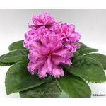 Кликните для увеличения изображения