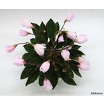 Кликните для увеличения изображения